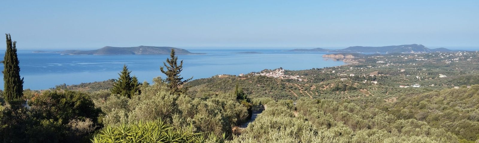 Ausblick vom Olivenhain auf Finikounda