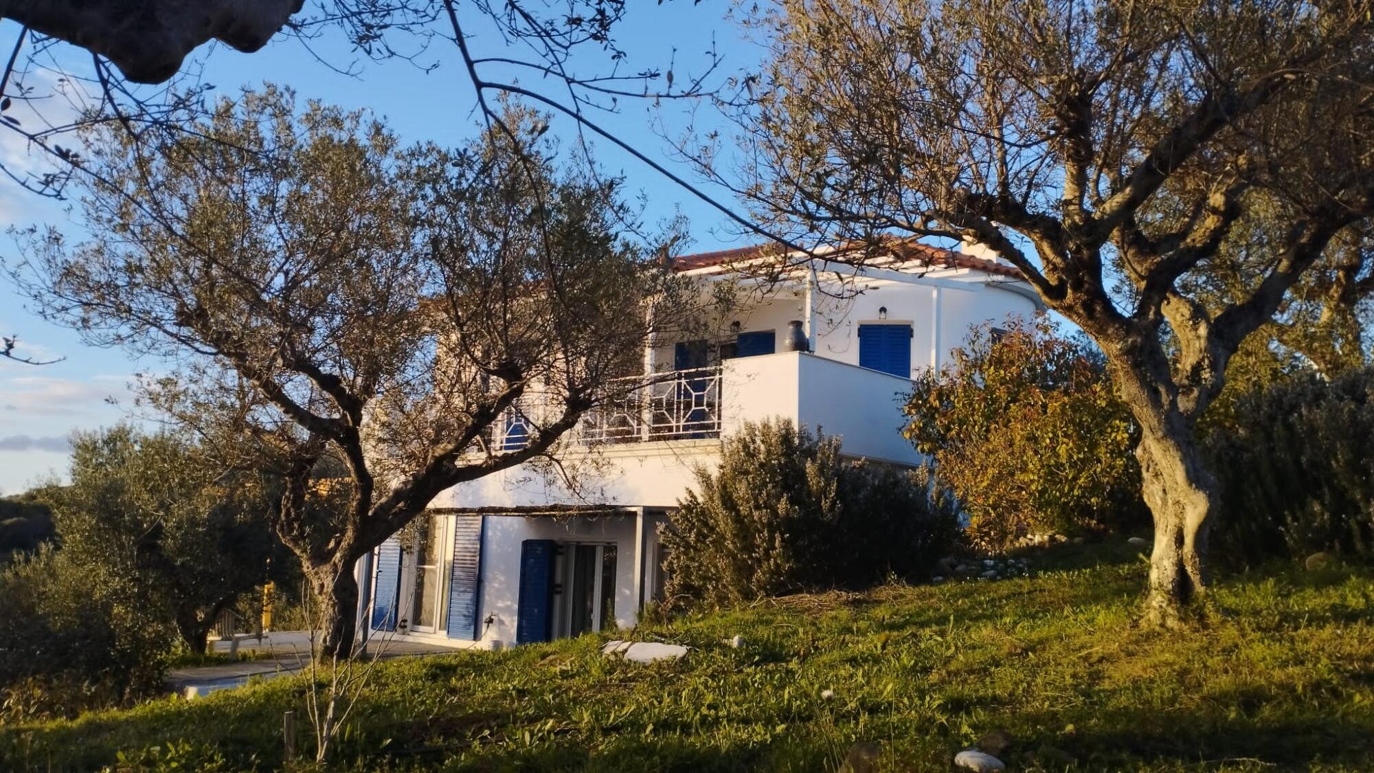 Haus